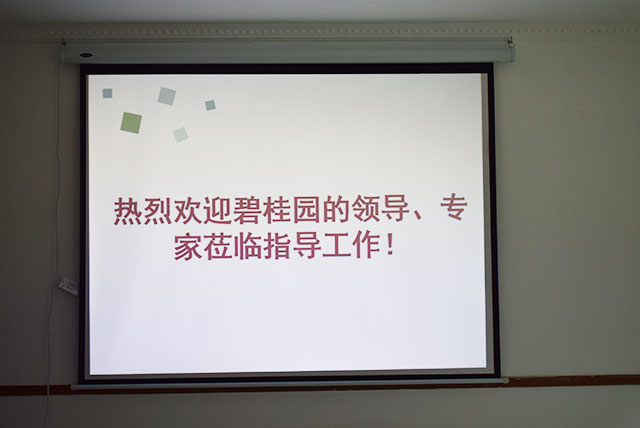 碧桂園領(lǐng)導(dǎo)、專家蒞臨德國CUALI磚麗指導(dǎo)工作